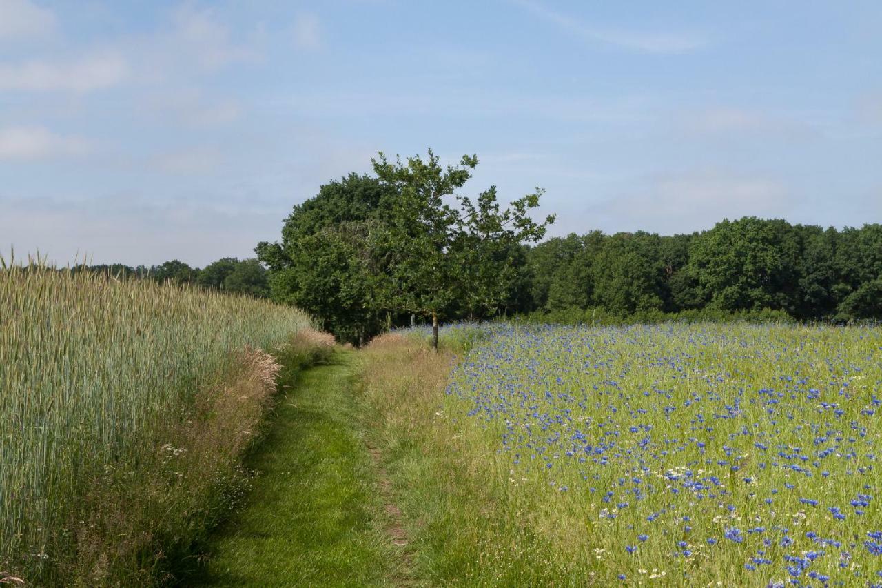 Hoeve Springendal Erf&Bron Hezingen Dış mekan fotoğraf