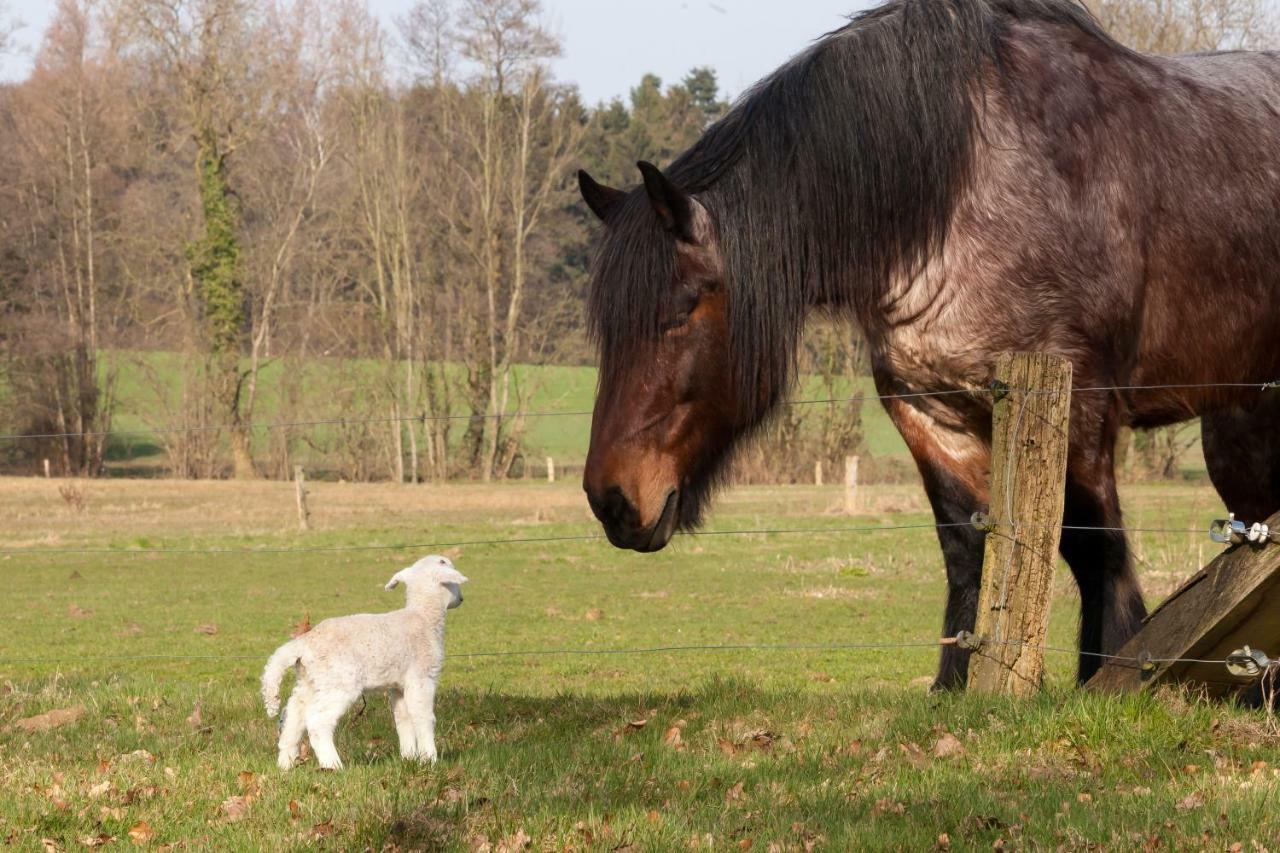 Hoeve Springendal Erf&Bron Hezingen Dış mekan fotoğraf